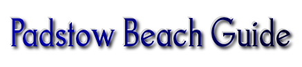 padstow beach guide page header 