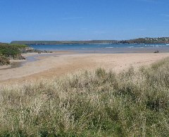 padstow beach - harbour cove image