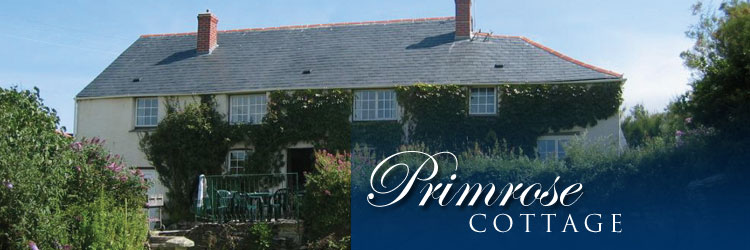 padstow self catering holidat cottage image