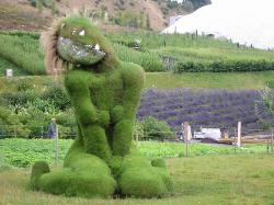 eden project small image1