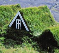 grass roofed houses image