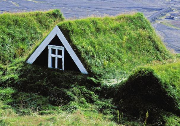 grass roofed houses image