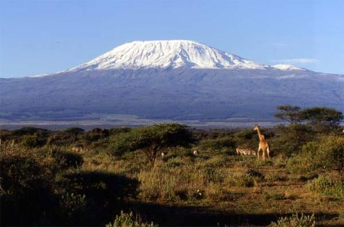 mount kilimanjaro landscape, kilimanjaro wildlife and scenery