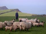 lower tresmorn farm image