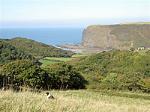 lower tresmorn farm image