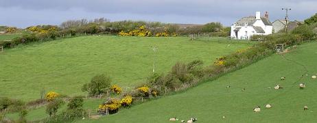lower tresmorn farm1 image