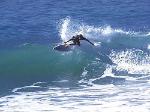 newquay surfer image