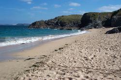 padstow beach guide - mother iveys bay image
