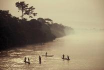 Congo River image