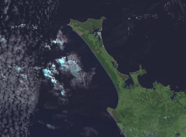 northland aupori peninsula from space image