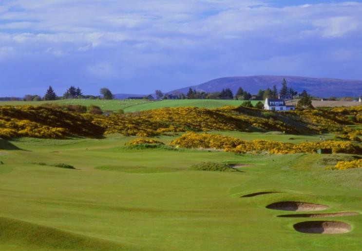 royal dornoch golf course image
