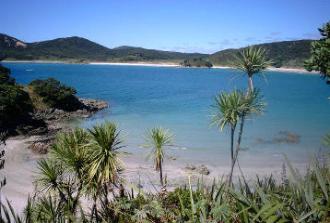 doubtless bay, northland, new zealand, beach and ocean view