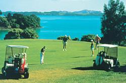 waitangi golf course image